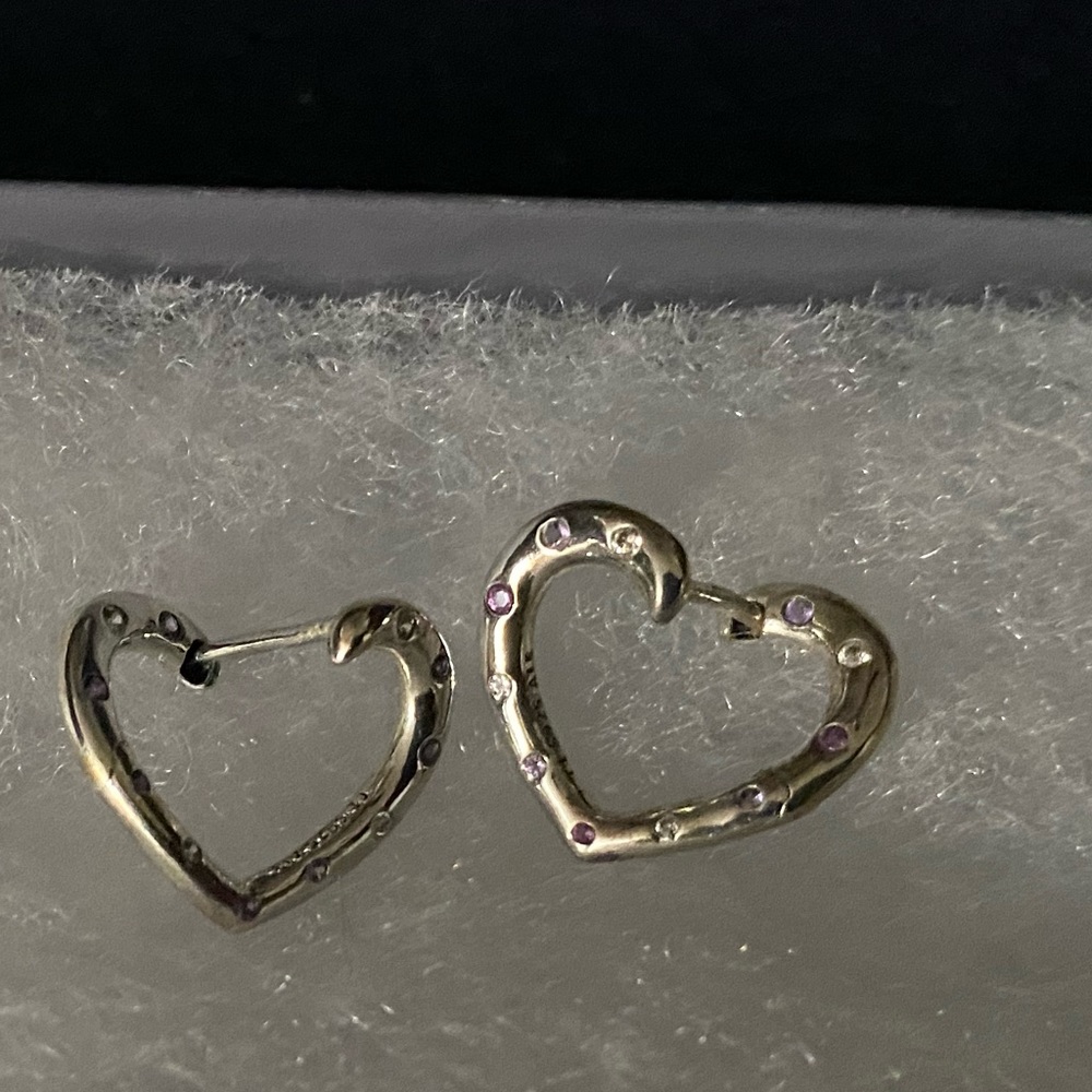 Pandora earrings